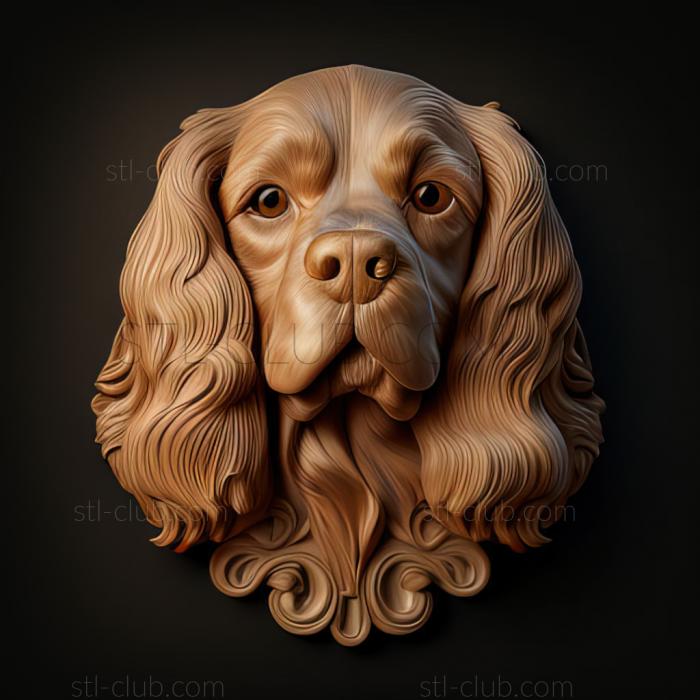 st Norfolk Spaniel dog